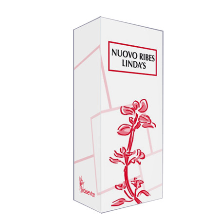 NUOVO RIBES LINDAS 50 ML GOCCE