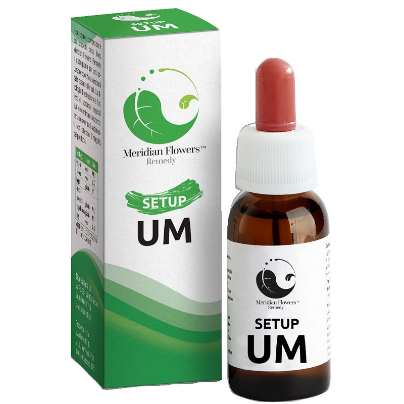 SETUP UM 10 ML MERIDIAN FLOWERS REMEDY