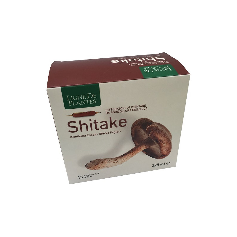 LIGNE DE PLANTES SHITAKE BIO 15 AMPOLLE DA 15 ML