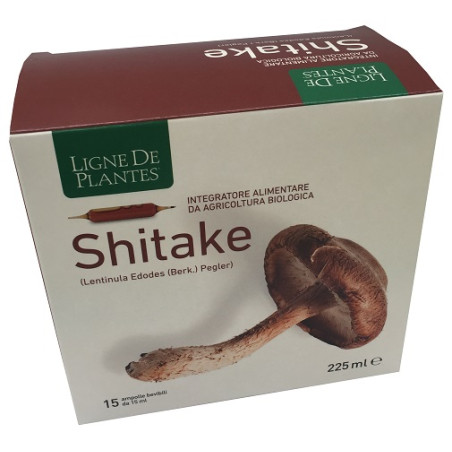 LIGNE DE PLANTES SHITAKE BIO 15 AMPOLLE DA 15 ML