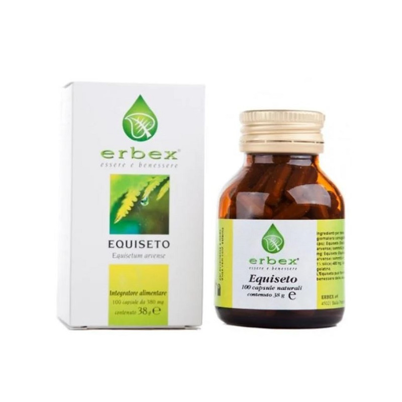 EQUISETO 100 CAPSULE 380MG