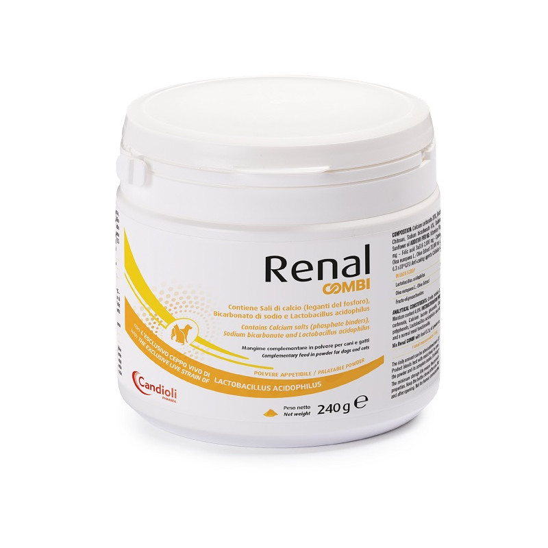 RENAL COMBI POLVERE 240 G