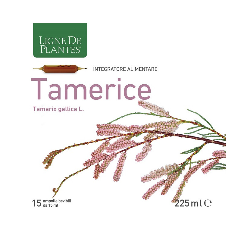 TAMERICE 15 AMPOLLE 15 ML