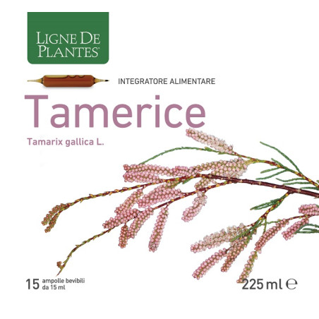 TAMERICE 15 AMPOLLE 15 ML