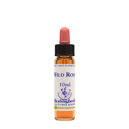 WILD ROSE ESSENZA 10 ML 1 PEZZO