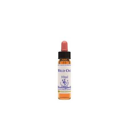 WILD OAT ESSENZA 10 ML 1 PEZZO