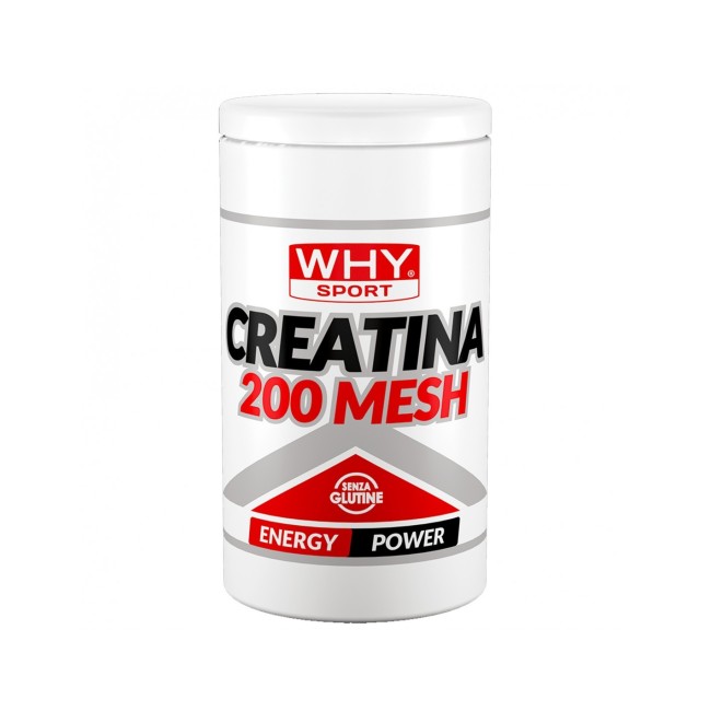 WHYSPORT CREATINA 200 MESH 500 G