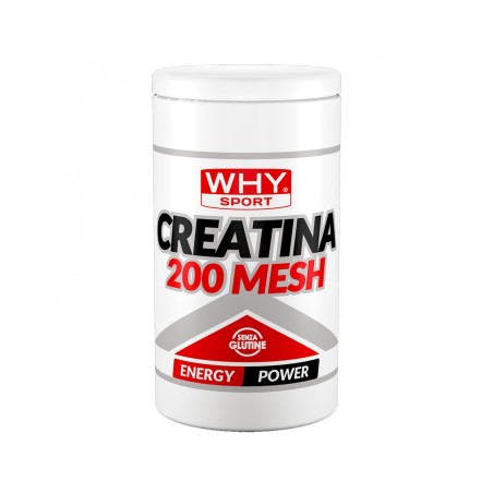 WHYSPORT CREATINA 200 MESH 500 G