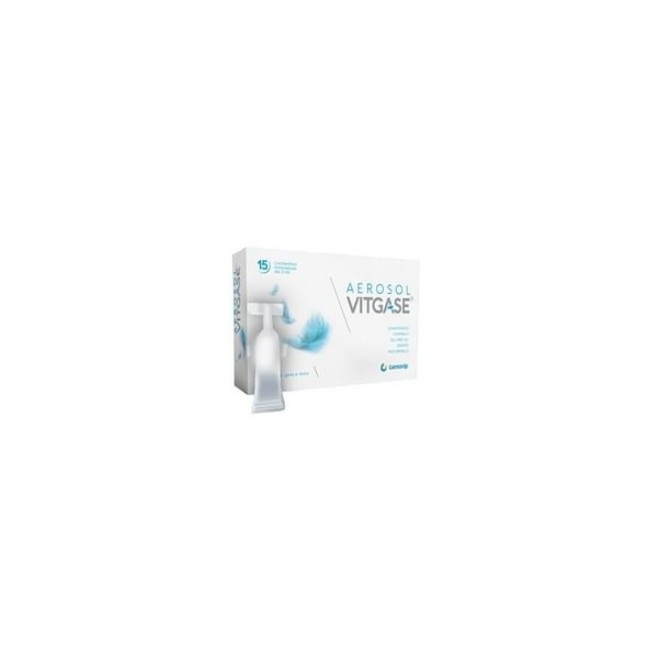 VITGASE AEROSOL 15 FLACONCINI MONODOSE DA 5 ML