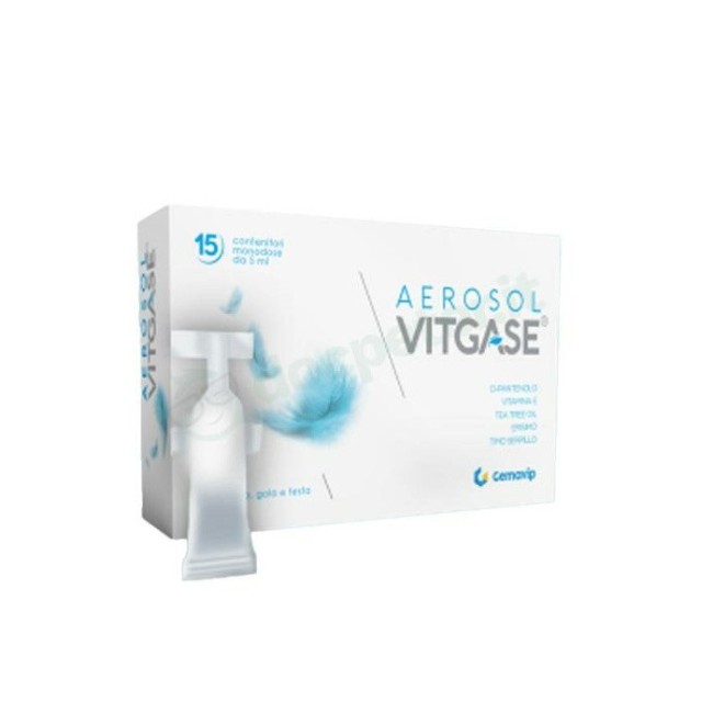 VITGASE AEROSOL 15 FLACONCINI 5 ML