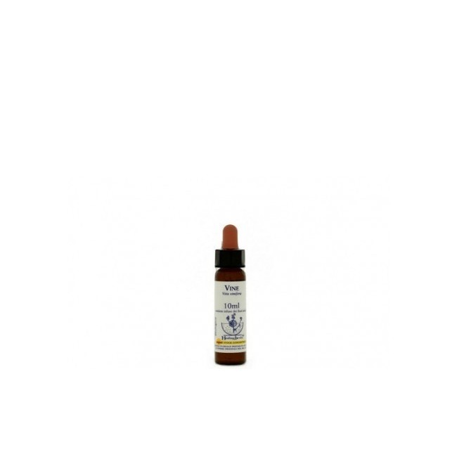 VINE ESSENZA 10 ML 1 PEZZO