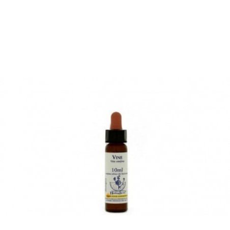 VINE ESSENZA 10 ML 1 PEZZO