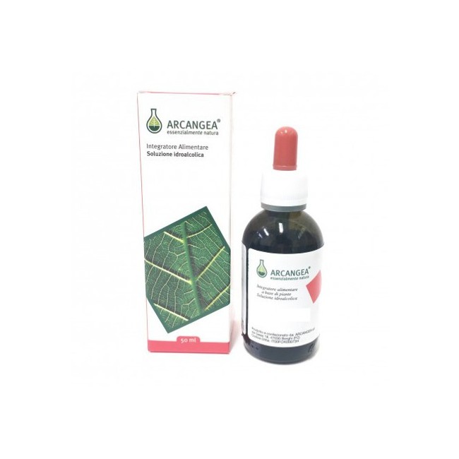 VERONICA SOMMITA' FIORITE TINTURA MADRE 55% ESTRATTO IDROALCOLICO 50 ML