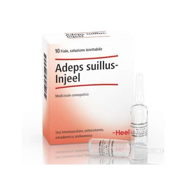 ADEPS SUILLUS INJEEL 10 FIALE HEEL