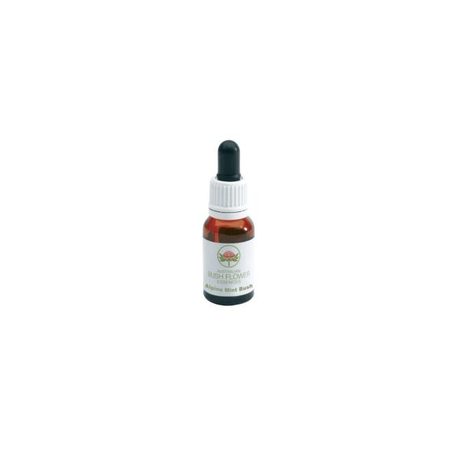 ALPINE MINT BUSH ESSENZA 15 ML 1 PEZZO