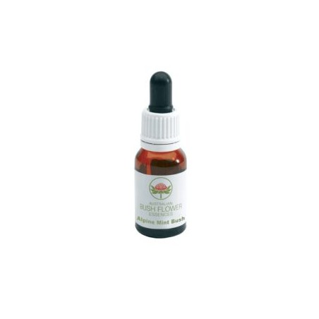 ALPINE MINT BUSH ESSENZA 15 ML 1 PEZZO