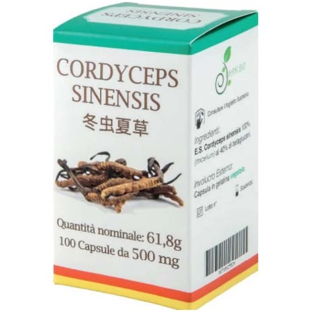 CORDYCEPS 100 CAPSULE