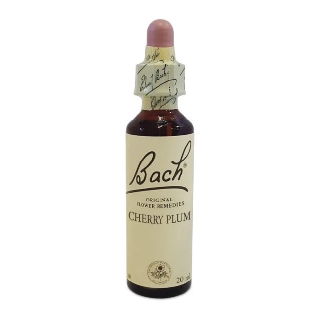 BACH CENTER ESS CHERRY PLUM20M