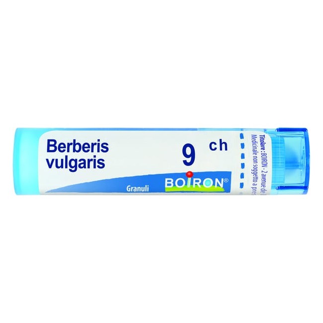 Boiron BERBERIS VULGARIS*9CH 80GR 4G