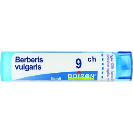 Boiron BERBERIS VULGARIS*9CH 80GR 4G