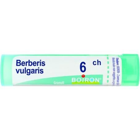 Boiron BERBERIS VULGARIS*6CH 80GR 4G