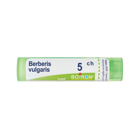 Boiron BERBERIS VULGARIS*5CH 80GR 4G