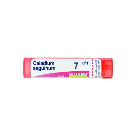 Boiron CALADIUM SEG *7CH 80GR 4G