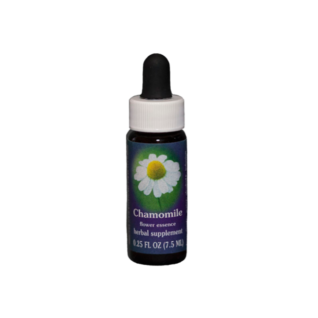 CHAMOMILE ESS 7,4ML CALF