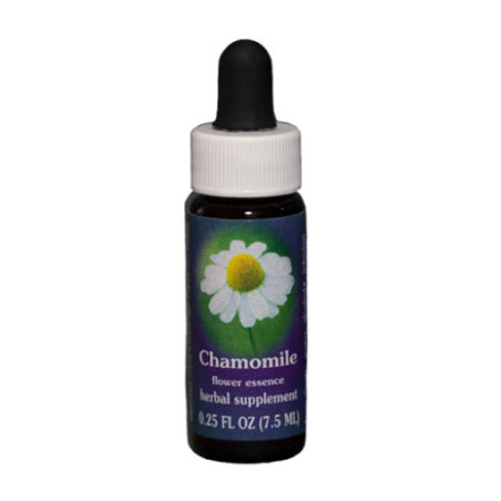 CHAMOMILE ESS 7,4ML CALF