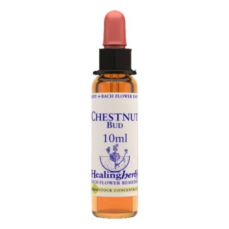 CHESTNUT BUD ESSENZA 10 ML 1 PEZZO