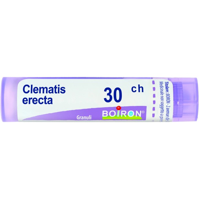 Boiron CLEMATIS ERECTA*30CH 80GR 4G