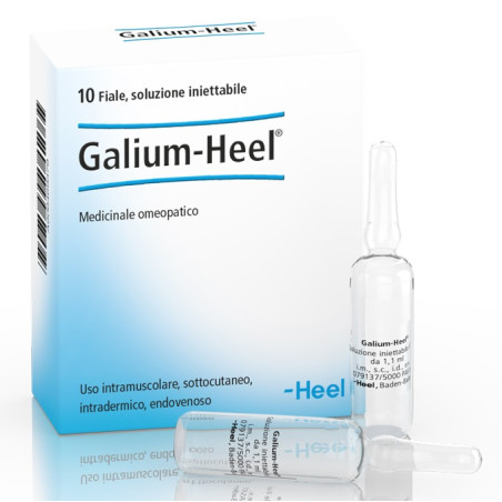 HEEL GALIUM 10 FIALE DA 1,1 ML L'UNA