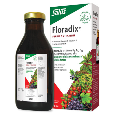 Salus Floradix Linfa D'Erbe Ricca Di Ferro Integratore Alimentare 500ml