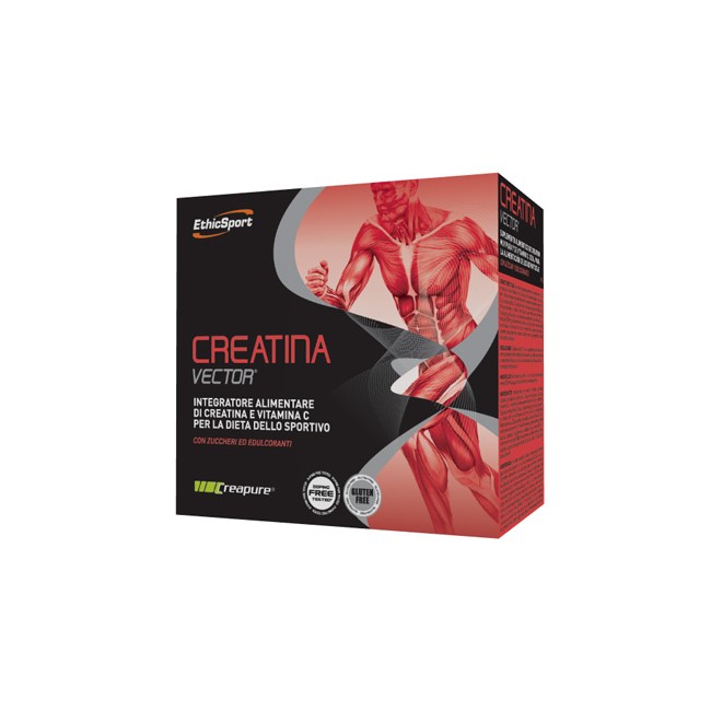 CREATINA VECTOR 20 BUSTINE 8 G