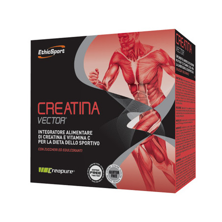 CREATINA VECTOR 20 BUSTINE 8 G