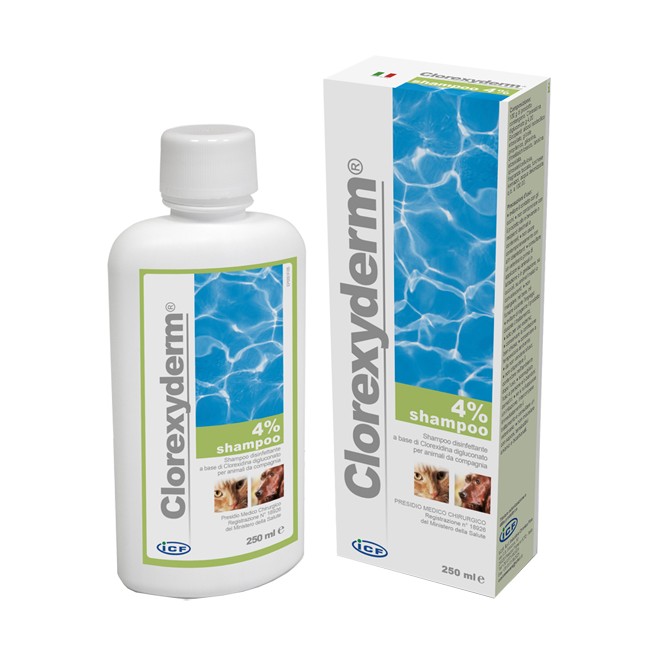 CLOREXYDERM SH 4% 250ML