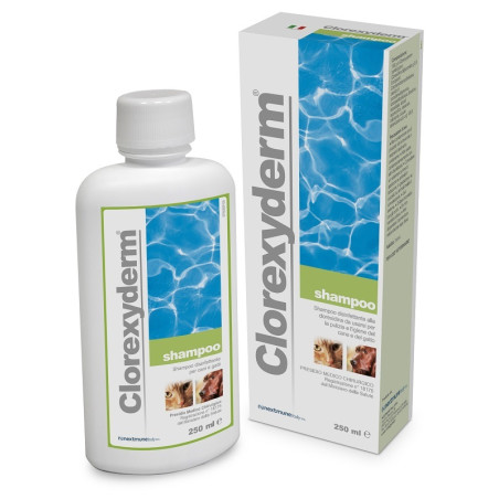 CLOREXYDERM SHAMPOO 250 ML