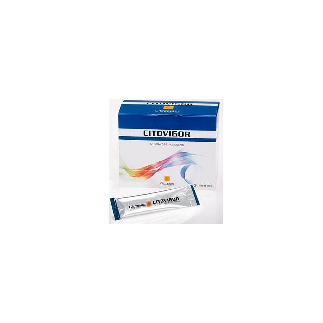 CITOVIGOR 24 BUSTINE STICK PACK DA 10 ML