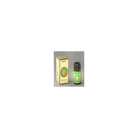 CEDRO FRUTTI OLIO ESSENZIALE 10 ML