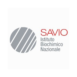 I.B.N. Savio