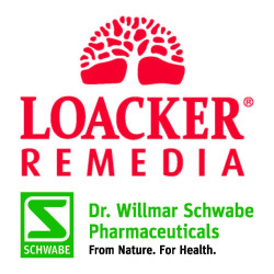 Loacker Remedia