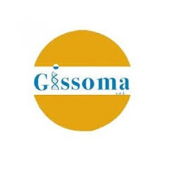 Gissoma