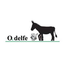 Odelfe