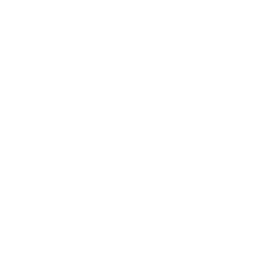 Aneid